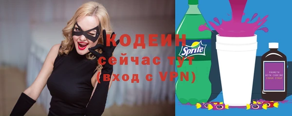 метадон Елизово
