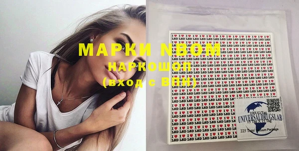 молекула духа Елабуга