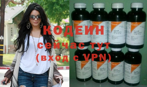 молекула духа Елабуга