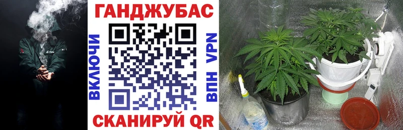 Шишки марихуана SATIVA & INDICA  Купить где  Кола 